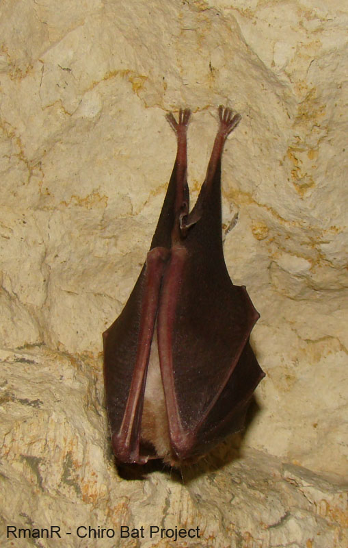 gr01
