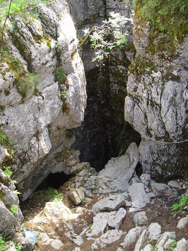 DSC08807