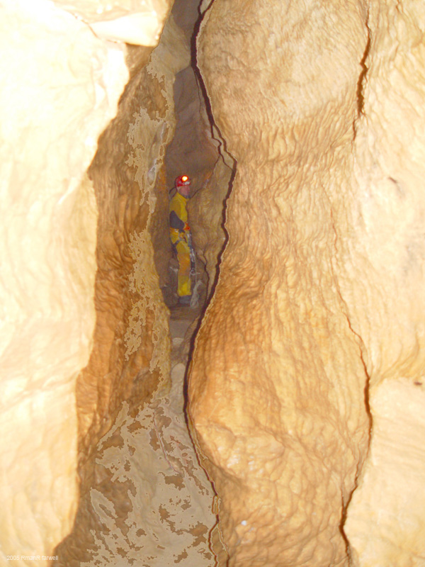 DSC08826