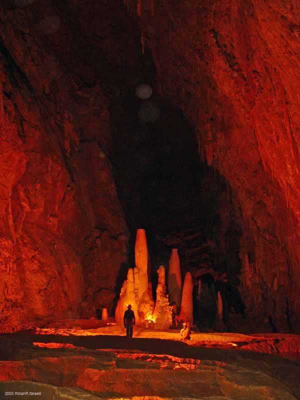 DSC08877-2