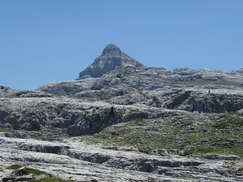 11b