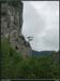 29clifftree