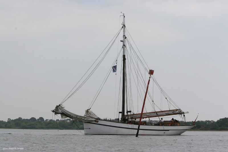 11b