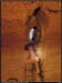 20050605_pmmery05