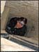20050605_pmmery07