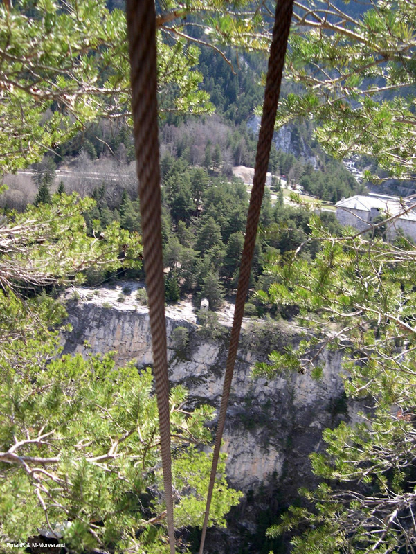 DSCN3359