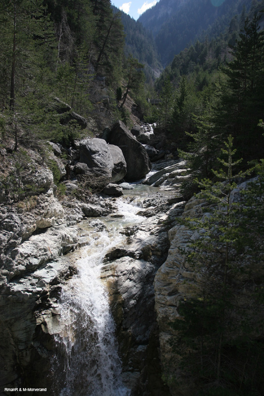 IMG_4617