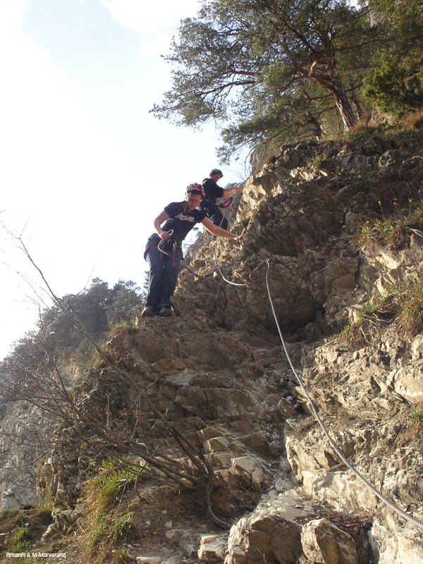 KIF_2419