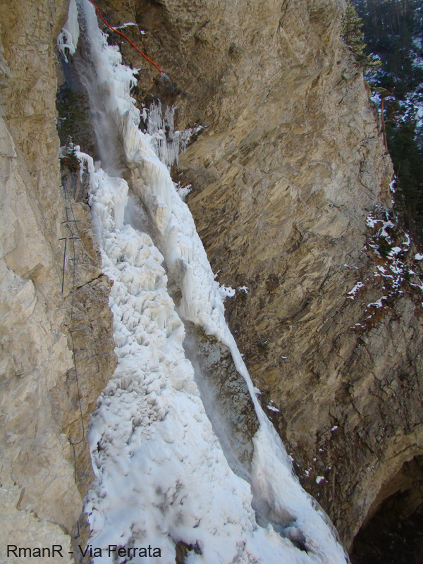 DSC01398